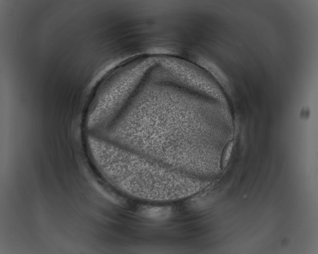 X0000092210155200710051144