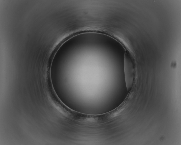 X0000092210156200710051144