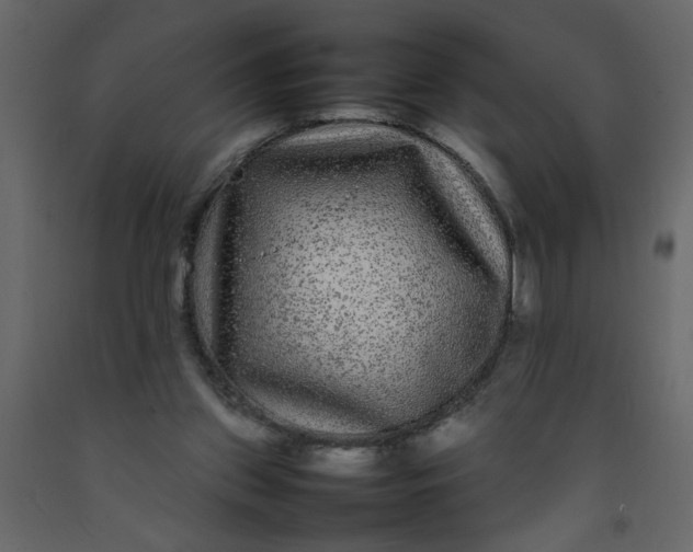 X0000092210157200710051144