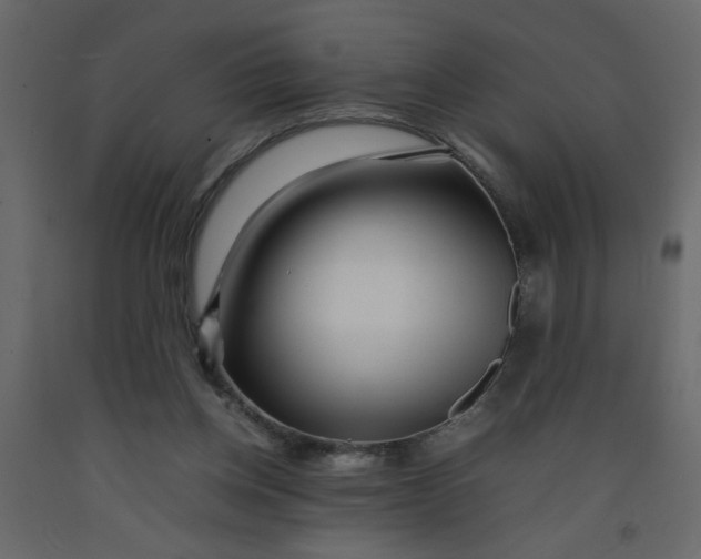 X0000092210158200710051144