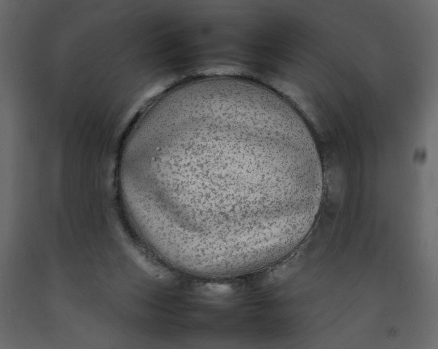 X0000092210159200710051144
