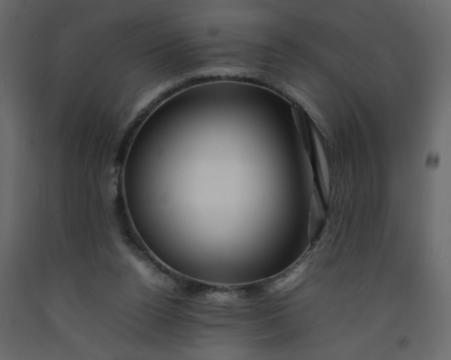 X0000092210160200710051144
