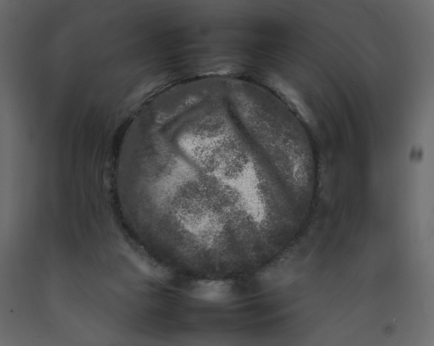 X0000092210161200710051144
