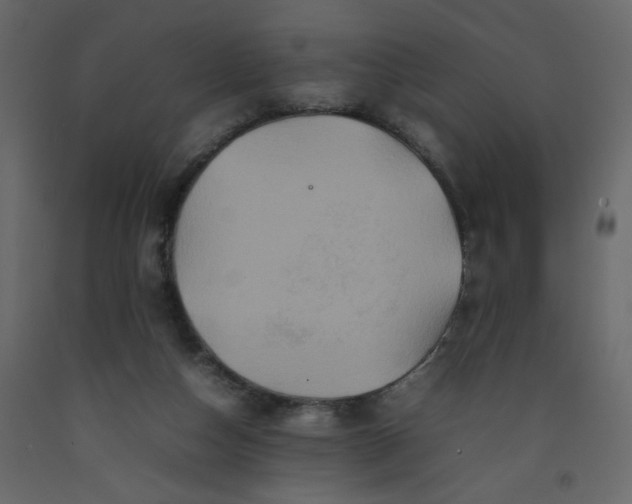 X0000092210162200710051144