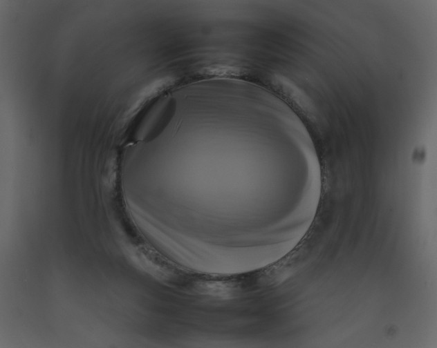 X0000092210163200710051144
