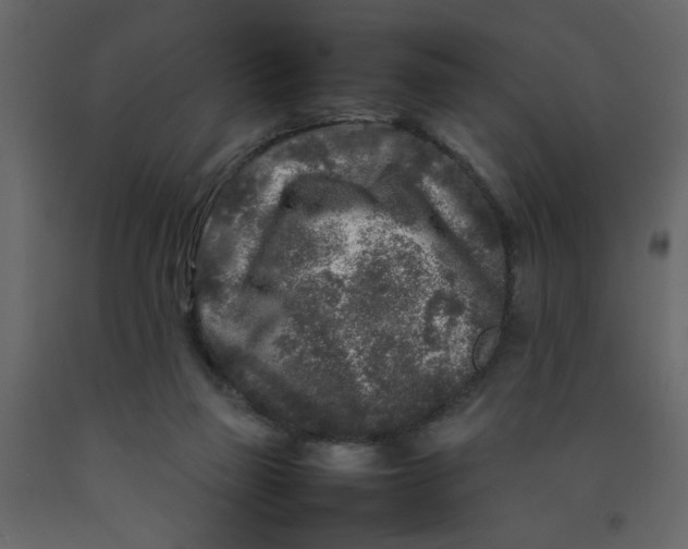 X0000092210165200710051144