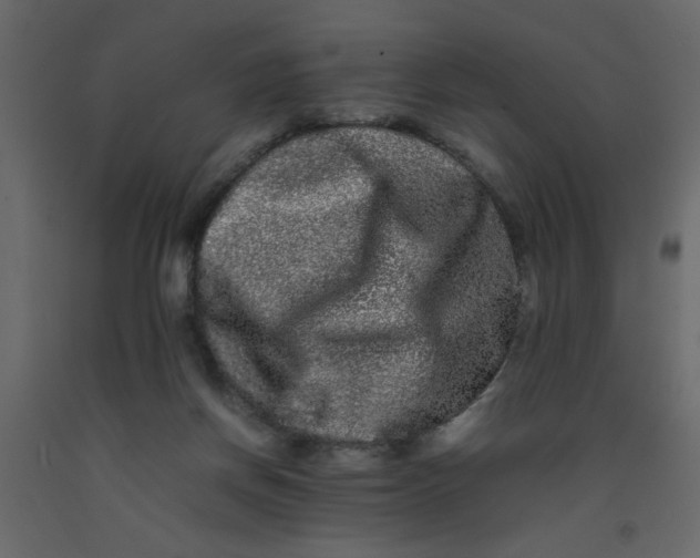 X0000092210166200710051144