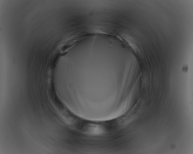 X0000092210167200710051144