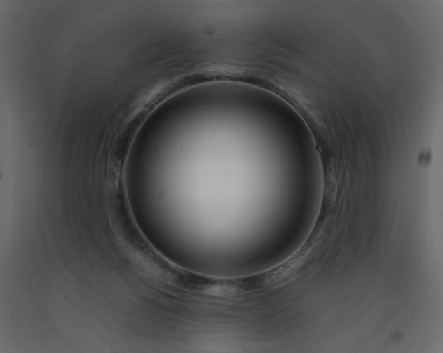 X0000092210168200710051144