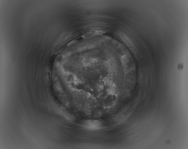 X0000092210169200710051144