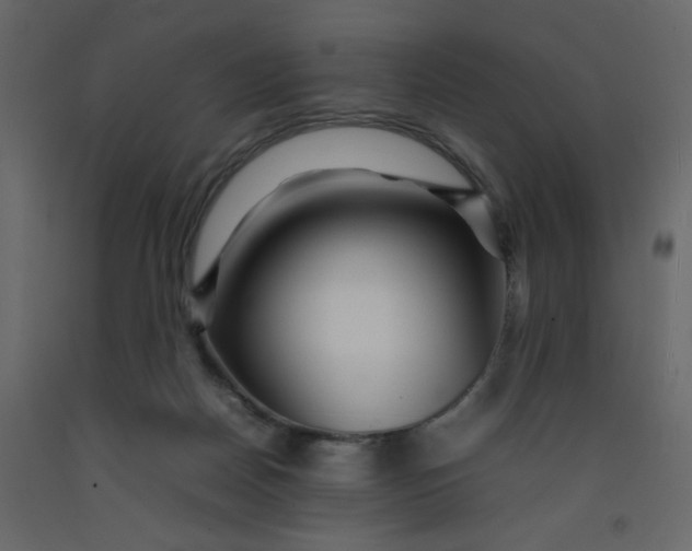 X0000092210170200710051144