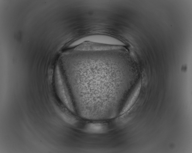 X0000092210171200710051144