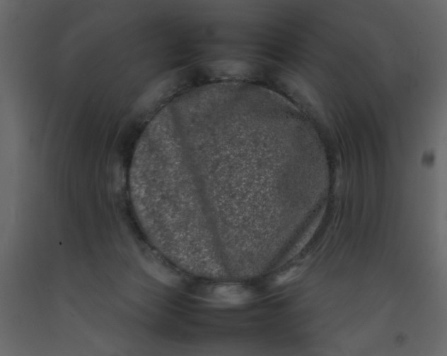 X0000092210173200710051144