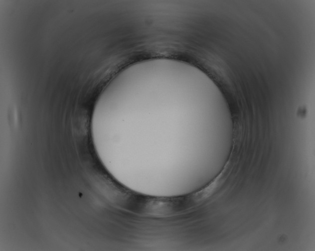 X0000092210174200710051144