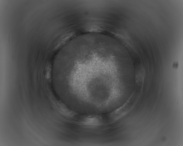 X0000092210175200710051144