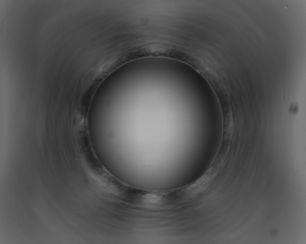 X0000092210176200710051144