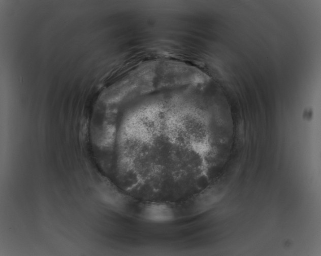 X0000092210177200710051144