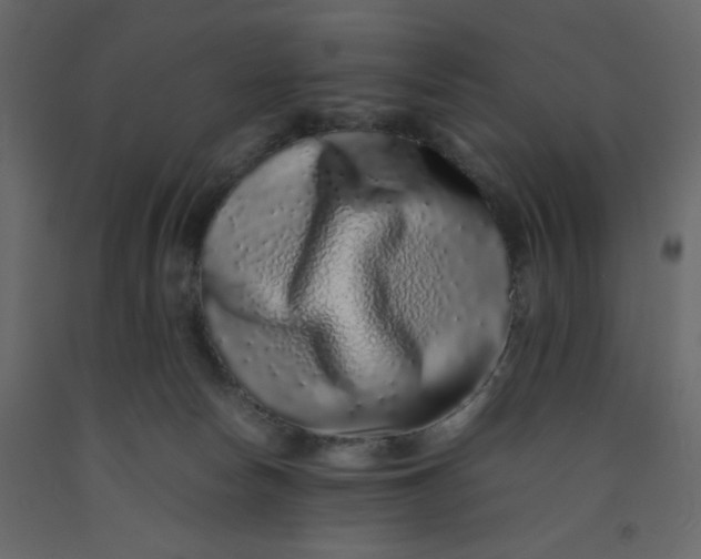 X0000092210178200710051144