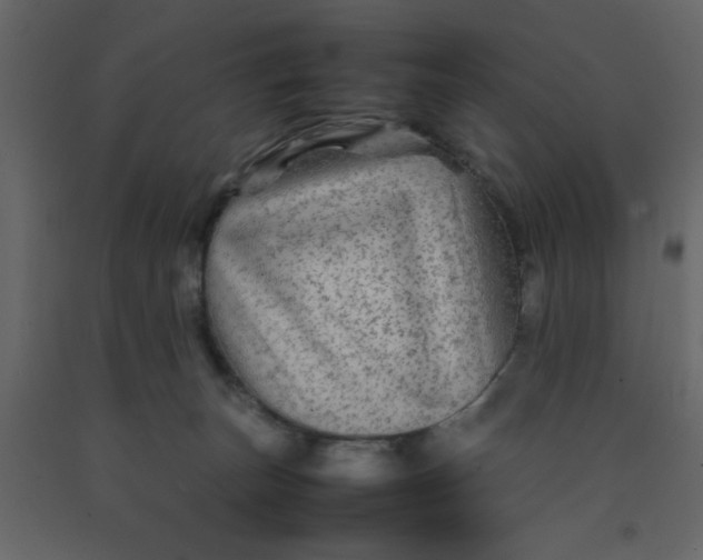 X0000092210179200710051144