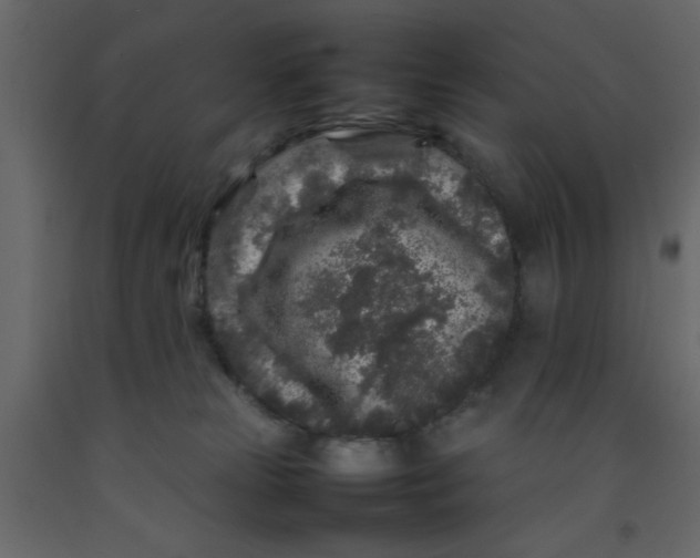 X0000092210181200710051144