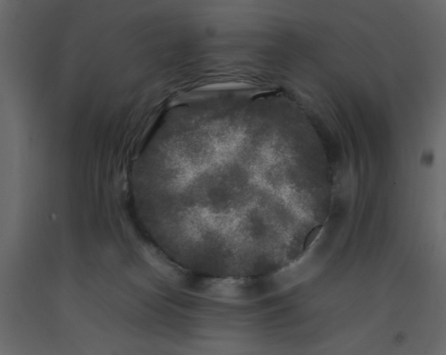 X0000092210182200710051144