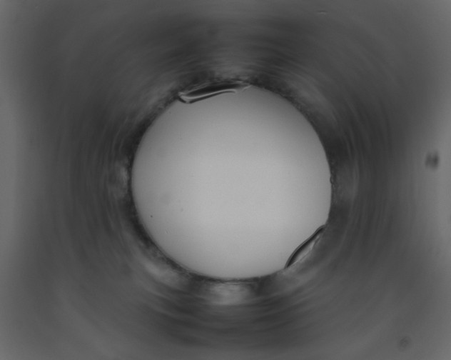 X0000092210183200710051144