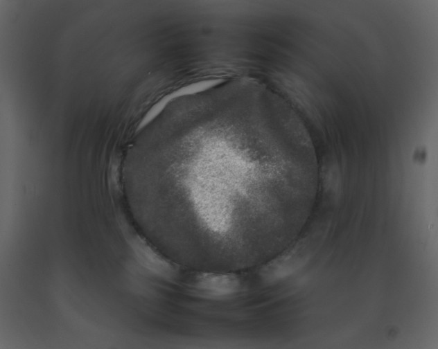 X0000092210185200710051144