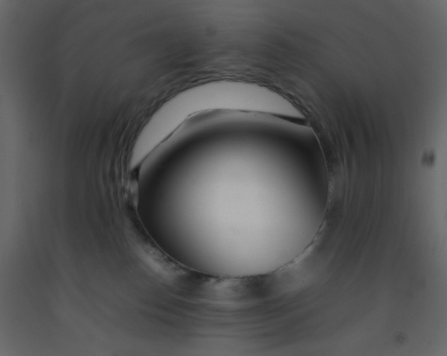 X0000092210186200710051144