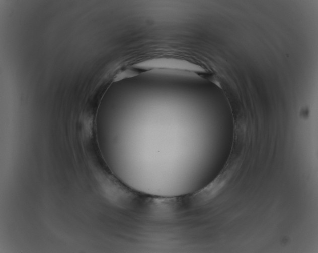 X0000092210188200710051144