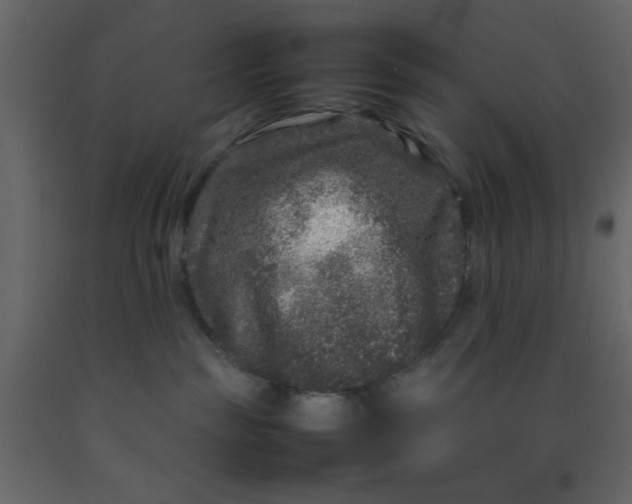 X0000092210189200710051144