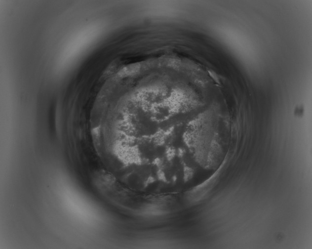 X0000092210191200710051144