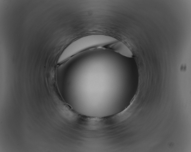 X0000092210192200710051144