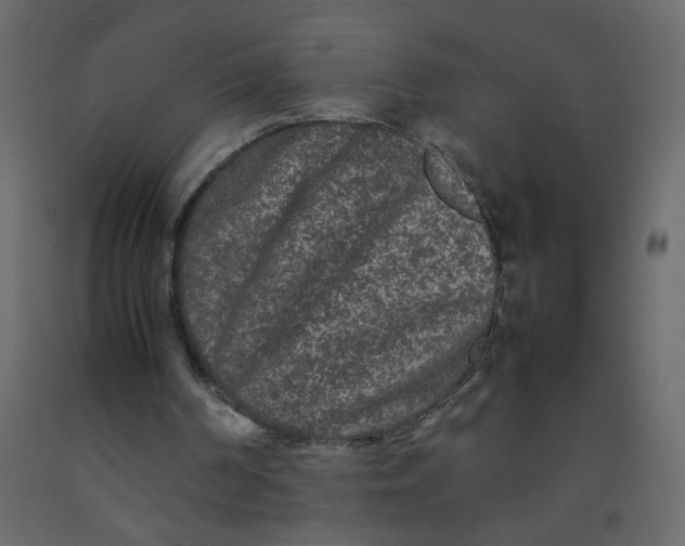 X0000092210194200710051144