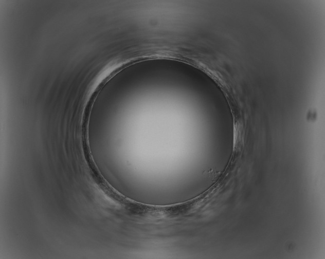 X0000092210195200710051144