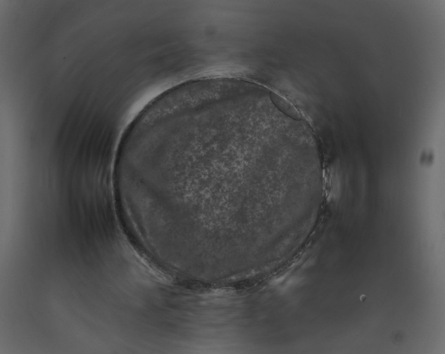 X0000092210196200710051144