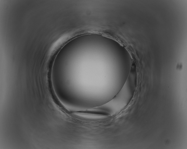 X0000092210197200710051144