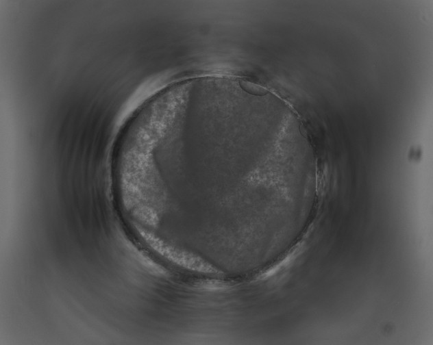 X0000092210198200710051144