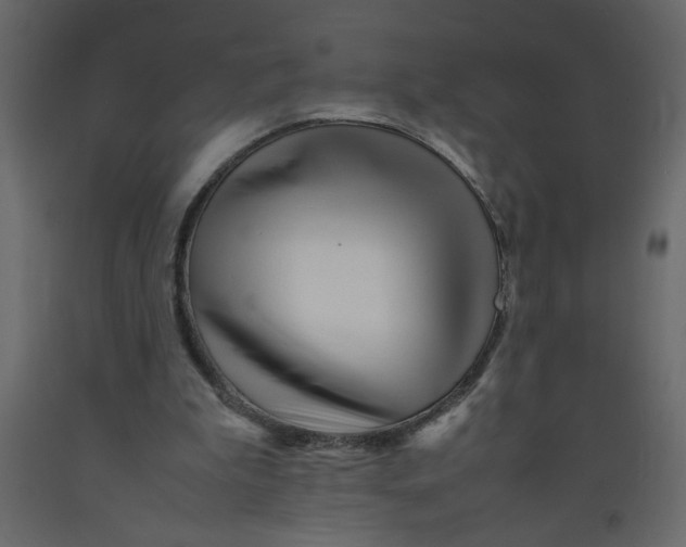 X0000092210199200710051144