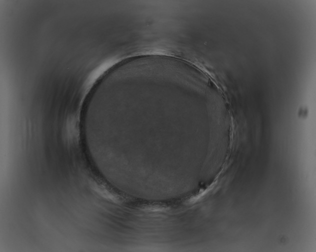 X0000092210200200710051144