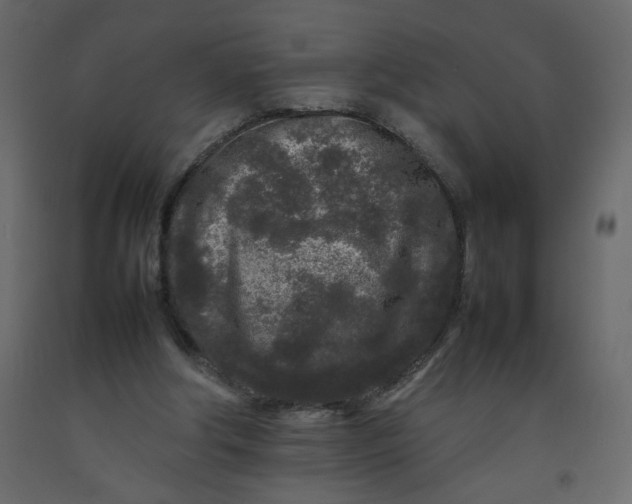 X0000092210202200710051144