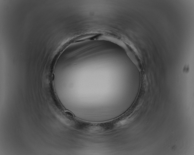 X0000092210203200710051144