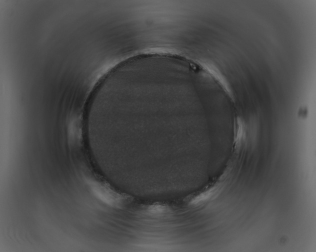 X0000092210204200710051144