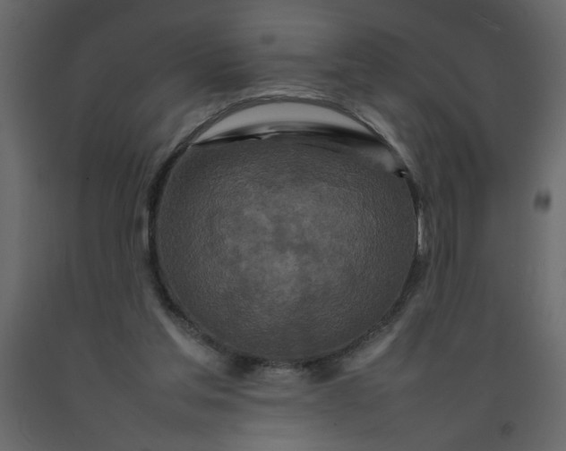 X0000092210205200710051144