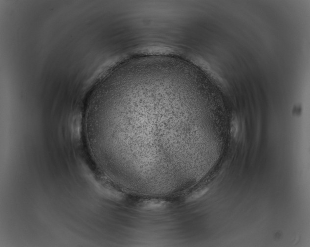 X0000092210206200710051144