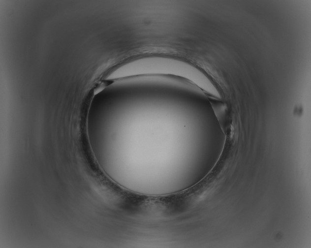 X0000092210207200710051144