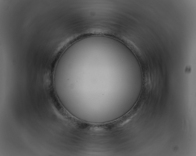 X0000092210208200710051144