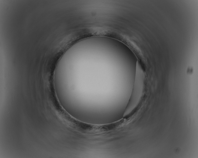 X0000092210209200710051144