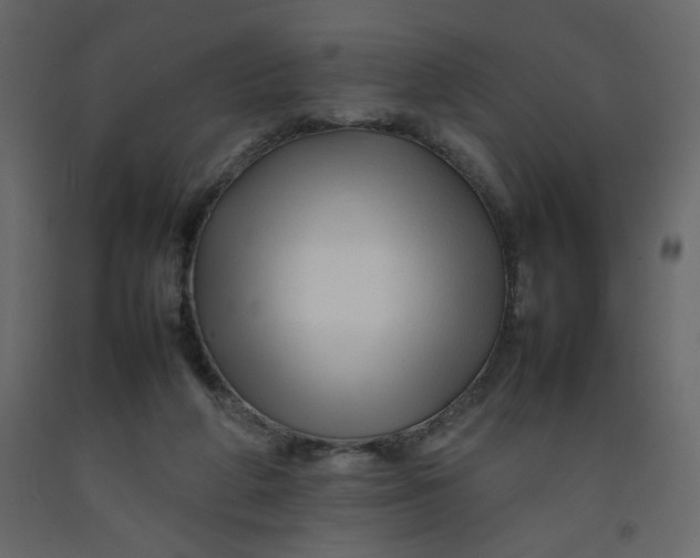 X0000092210210200710051144