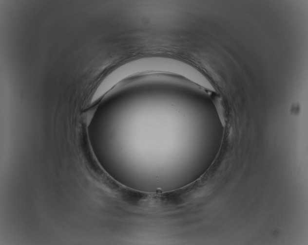 X0000092210211200710051144