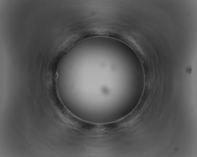 X0000092210213200710051144